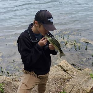 Meet your Posher, Logan